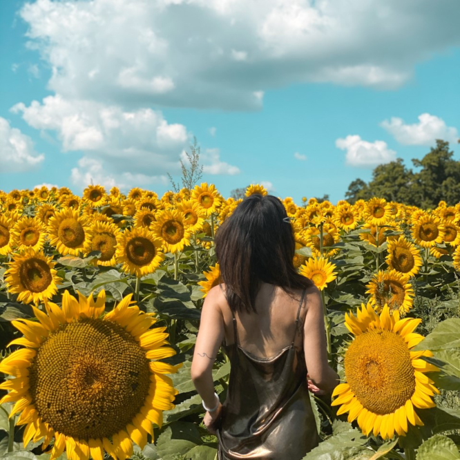 2020: A Year in Book Quotes